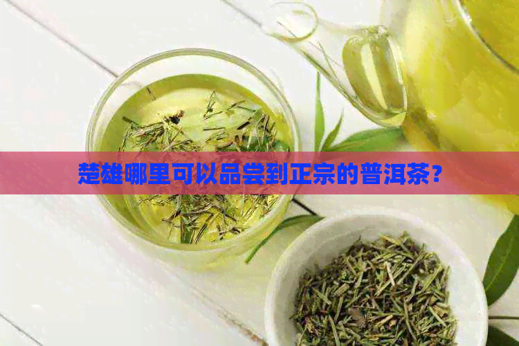 楚雄哪里可以品尝到正宗的普洱茶？