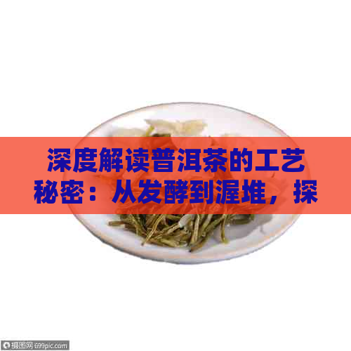 深度解读普洱茶的工艺秘密：从发酵到渥堆，探索普洱茶的独特魅力