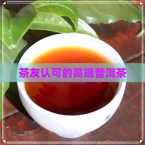 茶友认可的高端普洱茶