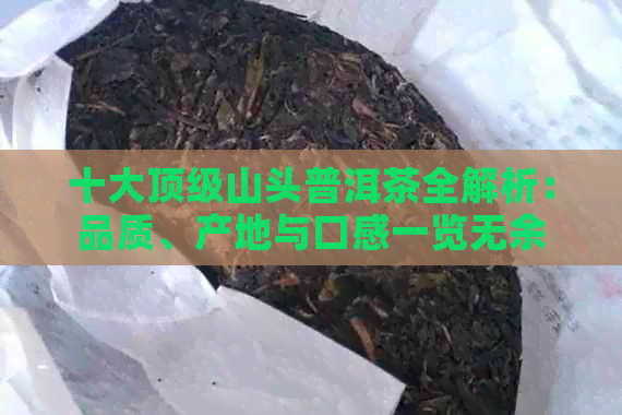 十大顶级山头普洱茶全解析：品质、产地与口感一览无余