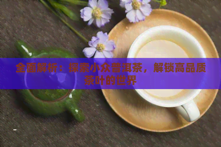 全面解析：探索小众普洱茶，解锁高品质茶叶的世界