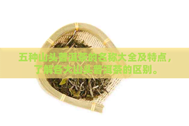 五种山头普洱茶的名称大全及特点，了解各大山头普洱茶的区别。