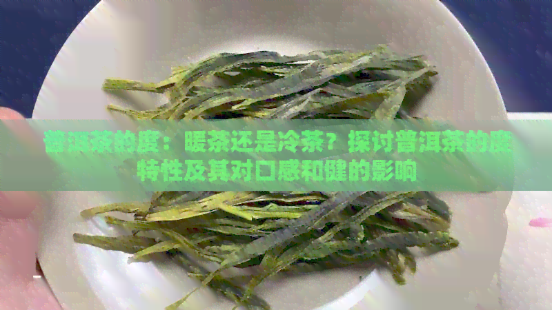 普洱茶的度：暖茶还是冷茶？探讨普洱茶的度特性及其对口感和健的影响