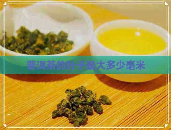 普洱茶的叶子更大多少毫米