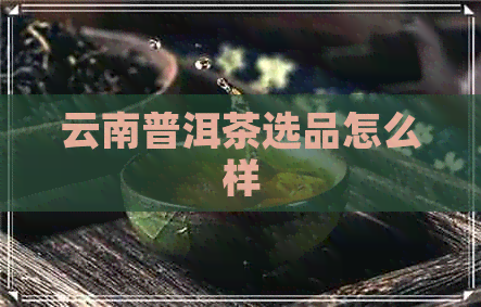 云南普洱茶选品怎么样