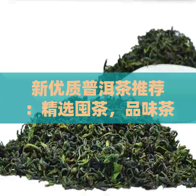 新优质普洱茶推荐：精选囤茶，品味茶叶的魅力