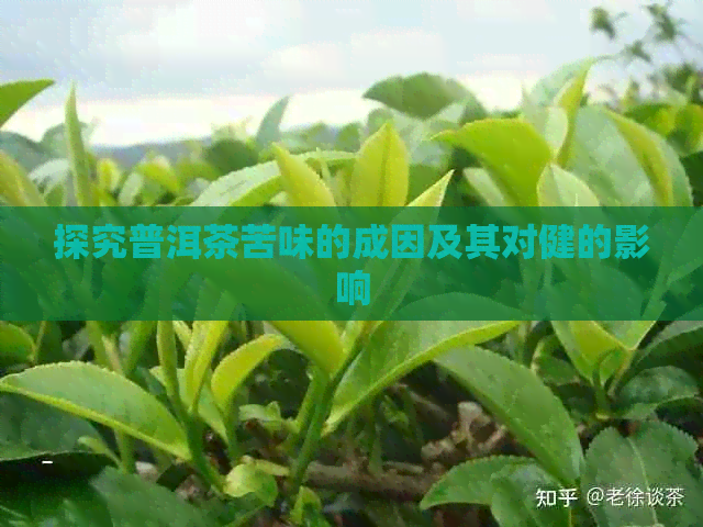 探究普洱茶苦味的成因及其对健的影响