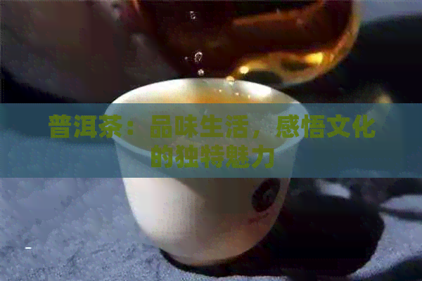 普洱茶：品味生活，感悟文化的独特魅力