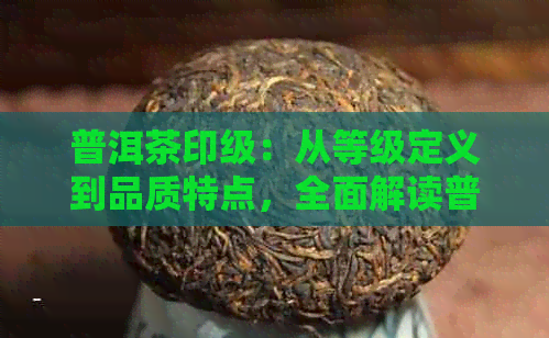 普洱茶印级：从等级定义到品质特点，全面解读普洱茶印级制度