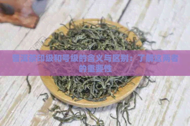 普洱茶印级和号级的含义与区别：了解这两者的重要性