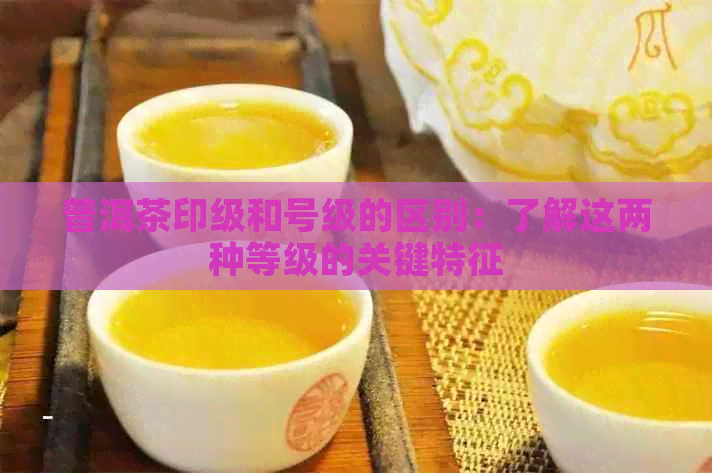 普洱茶印级和号级的区别：了解这两种等级的关键特征