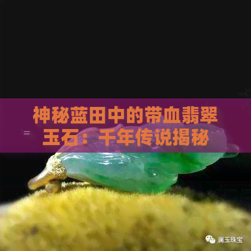 神秘蓝田中的带血翡翠玉石：千年传说揭秘