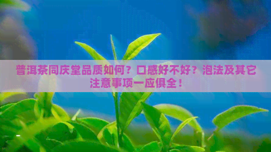 普洱茶同庆堂品质如何？口感好不好？泡法及其它注意事项一应俱全！