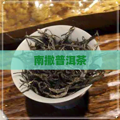 南撒普洱茶