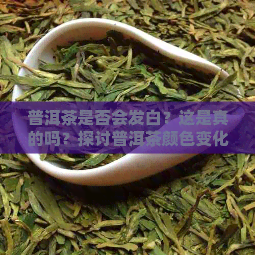 普洱茶是否会发白？这是真的吗？探讨普洱茶颜色变化背后的原因