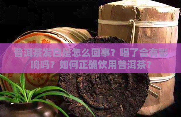 普洱茶发白是怎么回事？喝了会有影响吗？如何正确饮用普洱茶？