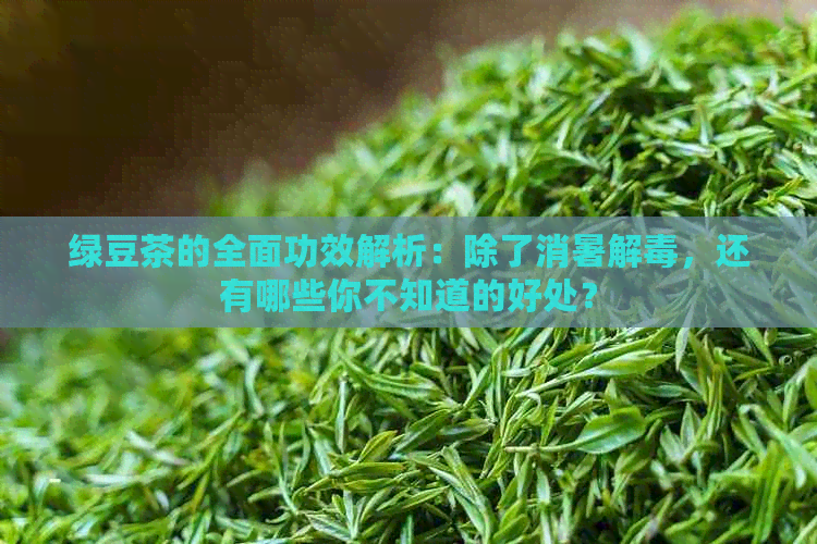 绿豆茶的全面功效解析：除了消暑解，还有哪些你不知道的好处？