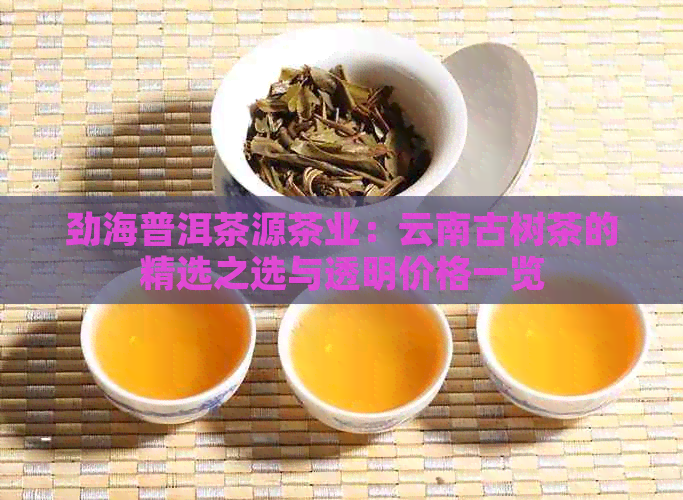 劲海普洱茶源茶业：云南古树茶的精选之选与透明价格一览