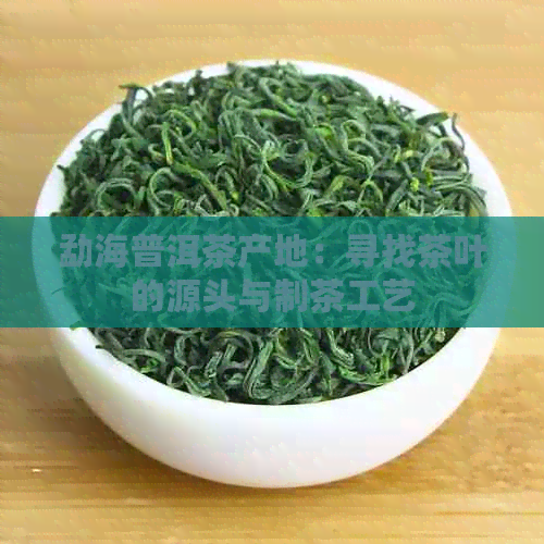 勐海普洱茶产地：寻找茶叶的源头与制茶工艺