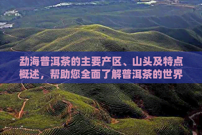 勐海普洱茶的主要产区、山头及特点概述，帮助您全面了解普洱茶的世界。