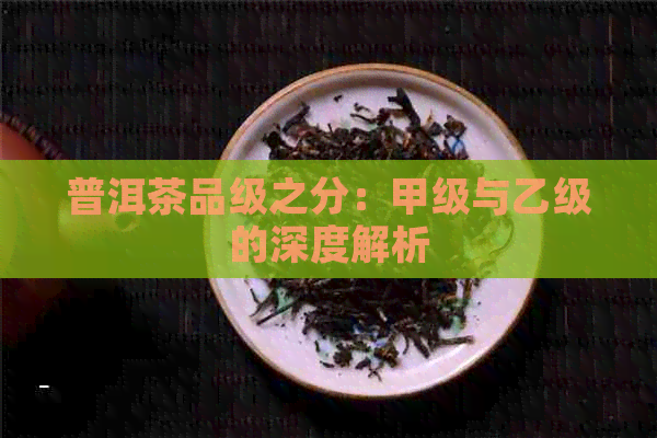 普洱茶品级之分：甲级与乙级的深度解析