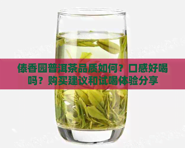 傣香园普洱茶品质如何？口感好喝吗？购买建议和试喝体验分享