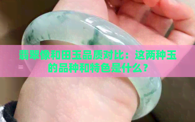 翡翠像和田玉品质对比：这两种玉的品种和特色是什么？