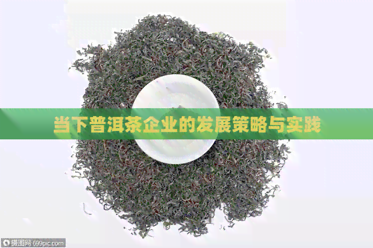 当下普洱茶企业的发展策略与实践