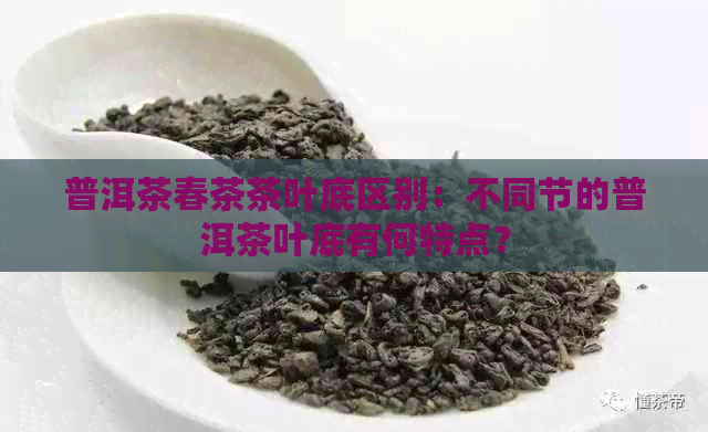 普洱茶春茶茶叶底区别：不同节的普洱茶叶底有何特点？