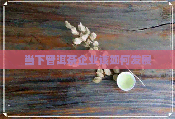 当下普洱茶企业该如何发展