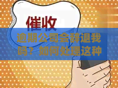 逾期公司会辞退我吗？如何处理这种状况？