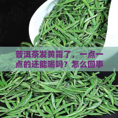 普洱茶发黄霜了，一点一点的还能喝吗？怎么回事？普洱茶发黄了怎么办？