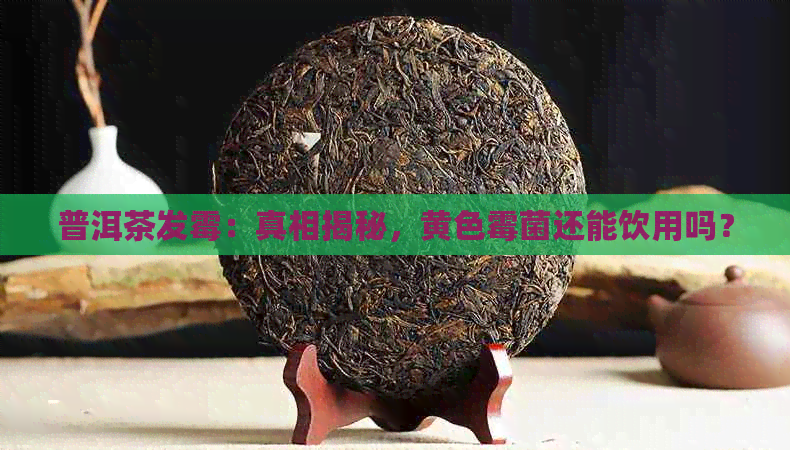 普洱茶发霉：真相揭秘，黄色霉菌还能饮用吗？