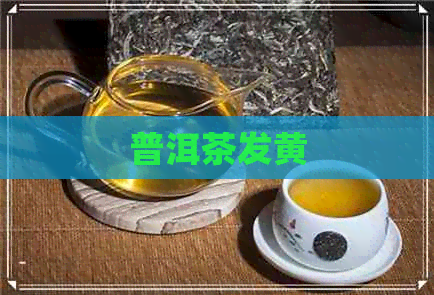 普洱茶发黄