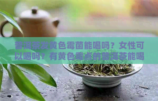 普洱茶发黄色霉菌能喝吗？女性可以喝吗？有黄色霉点的普洱茶能喝吗？