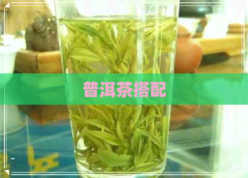 普洱茶搭配