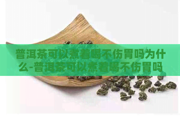 普洱茶可以煮着喝不伤胃吗为什么-普洱茶可以煮着喝不伤胃吗为什么呢