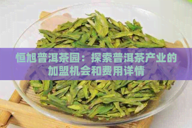 恒旭普洱茶园：探索普洱茶产业的加盟机会和费用详情