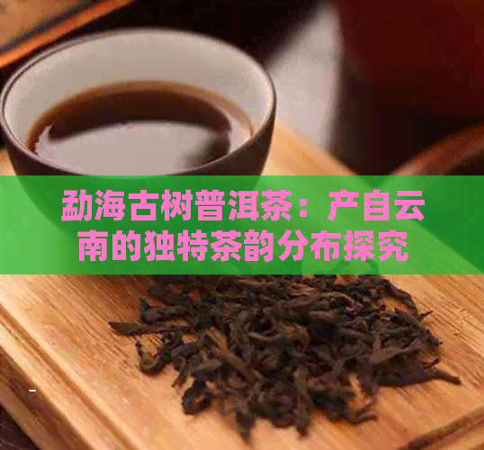 勐海古树普洱茶：产自云南的独特茶韵分布探究