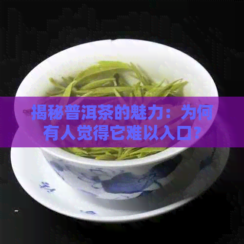 揭秘普洱茶的魅力：为何有人觉得它难以入口？