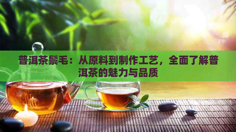 普洱茶鬃毛：从原料到制作工艺，全面了解普洱茶的魅力与品质