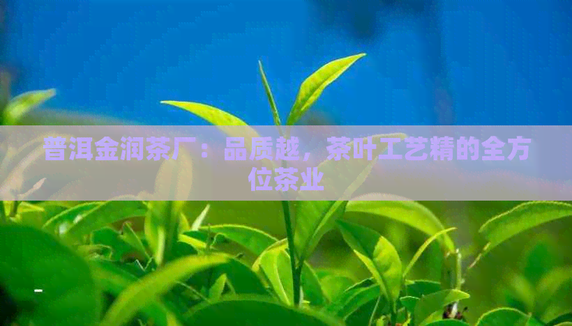 普洱金润茶厂：品质越，茶叶工艺精的全方位茶业