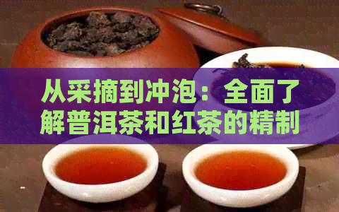 从采摘到冲泡：全面了解普洱茶和红茶的精制作工艺