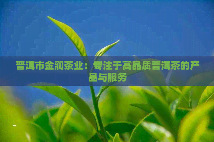 普洱市金润茶业：专注于高品质普洱茶的产品与服务