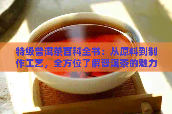 特级普洱茶百科全书：从原料到制作工艺，全方位了解普洱茶的魅力与品鉴技巧