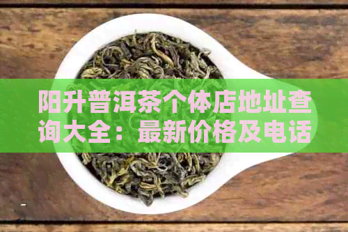 阳升普洱茶个体店地址查询大全：最新价格及电话