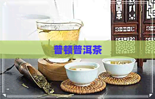 普顿普洱茶