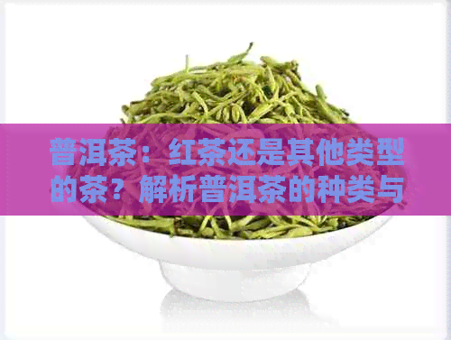 普洱茶：红茶还是其他类型的茶？解析普洱茶的种类与特点