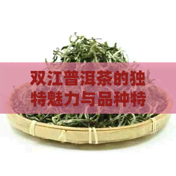 双江普洱茶的独特魅力与品种特点解析：一篇全方位了解双江普洱茶的指南