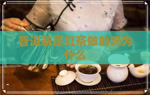 普洱茶是红茶做的吗为什么